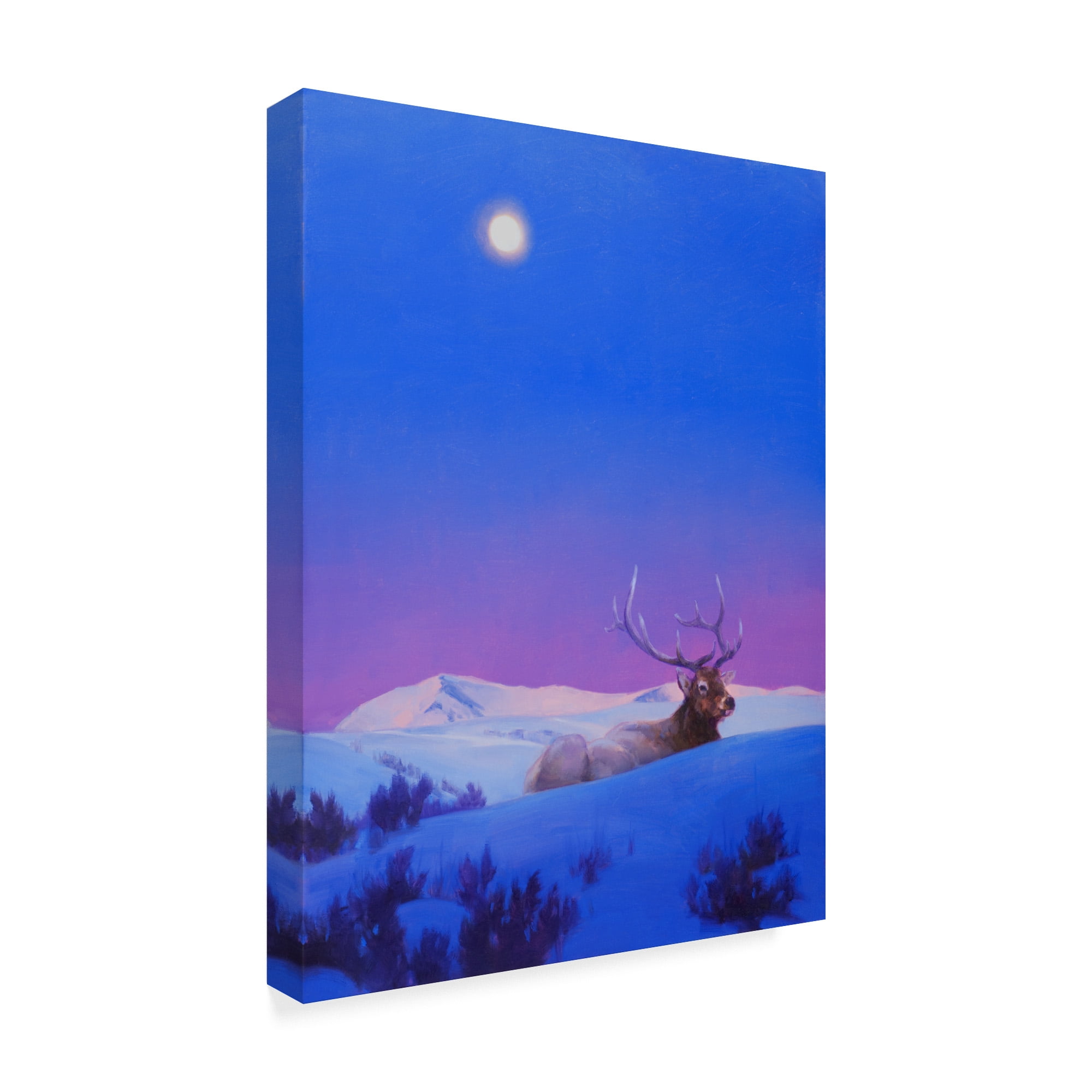 Trademark Fine Art 'The Gift Elk' Canvas Art by Julie T. Chapman