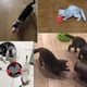 thumbnail image 4 of Laser Pointer For Cats Usb Rechargeable, Cat Dog Interactive Lazer Toy, Pet Training Exercise Chaser Tool, 3 Mode - Red Light Led Flashlight Uv Light, 4 of 5
