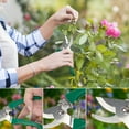 thumbnail image 2 of Garden Tools Set,10 Pieces Gardening Tools, Ergonomic Handle Trowel Rake Weeder Pruner Shears Sprayer, Garden Hand Tools with Carrying Case Gardening Gifts for Women, 2 of 7