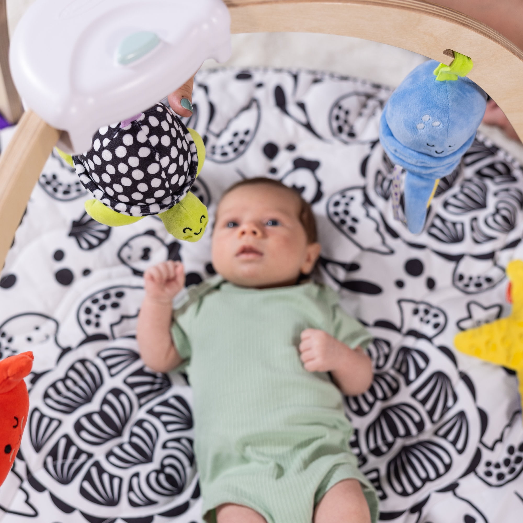 Melissa & Doug Ocean Easy-Fold Play Gym Developmental Toy for Infants up to 9 Months - FSC Certified