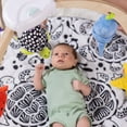 thumbnail image 3 of Melissa & Doug Ocean Easy-Fold Play Gym Developmental Toy for Infants up to 9 Months - FSC Certified, 3 of 11