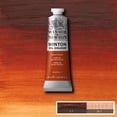 thumbnail image 3 of Pintura Óleo Winton 37ml Colores Serie 1 Siena Tostada #2 Winsor & Newton multicolor SIN TAMAÑO, 3 of 3