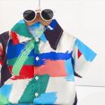 thumbnail image 5 of Paguaki Toddler Baby Boy Clothes Printed Short Sleeve Shirt And Shorts 2-Piece Children Outfit Beach Summer Clothes, 5 of 7