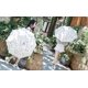 thumbnail image 1 of Sombrilla plegable de verano a prueba de sol Triple protección UV Begonia Sombrillas ShuxiuWang 8390612295188, 1 of 1
