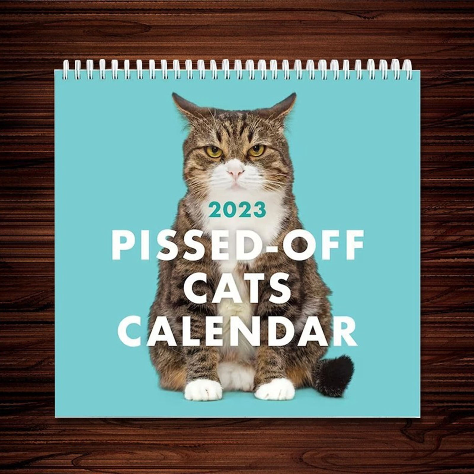 MIARHB Contemporary 2023 Pissed-Off Cats Calendar, Funny Cats Calendar  Family Planner From Jan. - Walmart.com