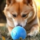 thumbnail image 5 of Juguete para perros con movimiento automático, pelota interactiva que rebota con modos de vibración y salto para jugar en interiores y exteriores, limpiar los dientes y estimular la mente, 5 of 7