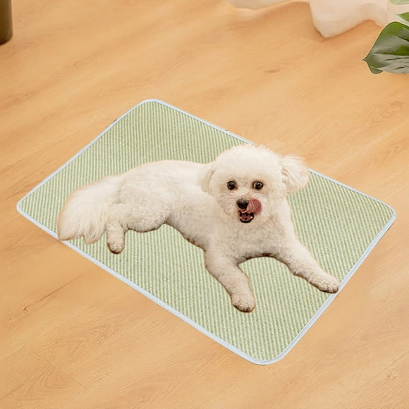 Tapis Rafraîchissant pour Chiens et Chats, Lit Respirant en Rotin Naturel pour l'Été, Matelas Rafraîchissant Antidérapant pour Petits et Moyens Animaux, Utilisation Toutes Saisons