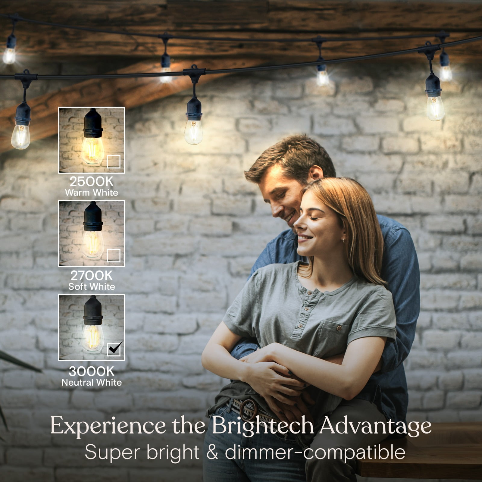 Brightech Ambience Pro LED String Lights - 24 Ft Commercial Waterproof Patio Lights with Vintage Edison Bulbs - Heavy Duty Porch String Lights for Outdoors, Backyard - 2W, Natural White