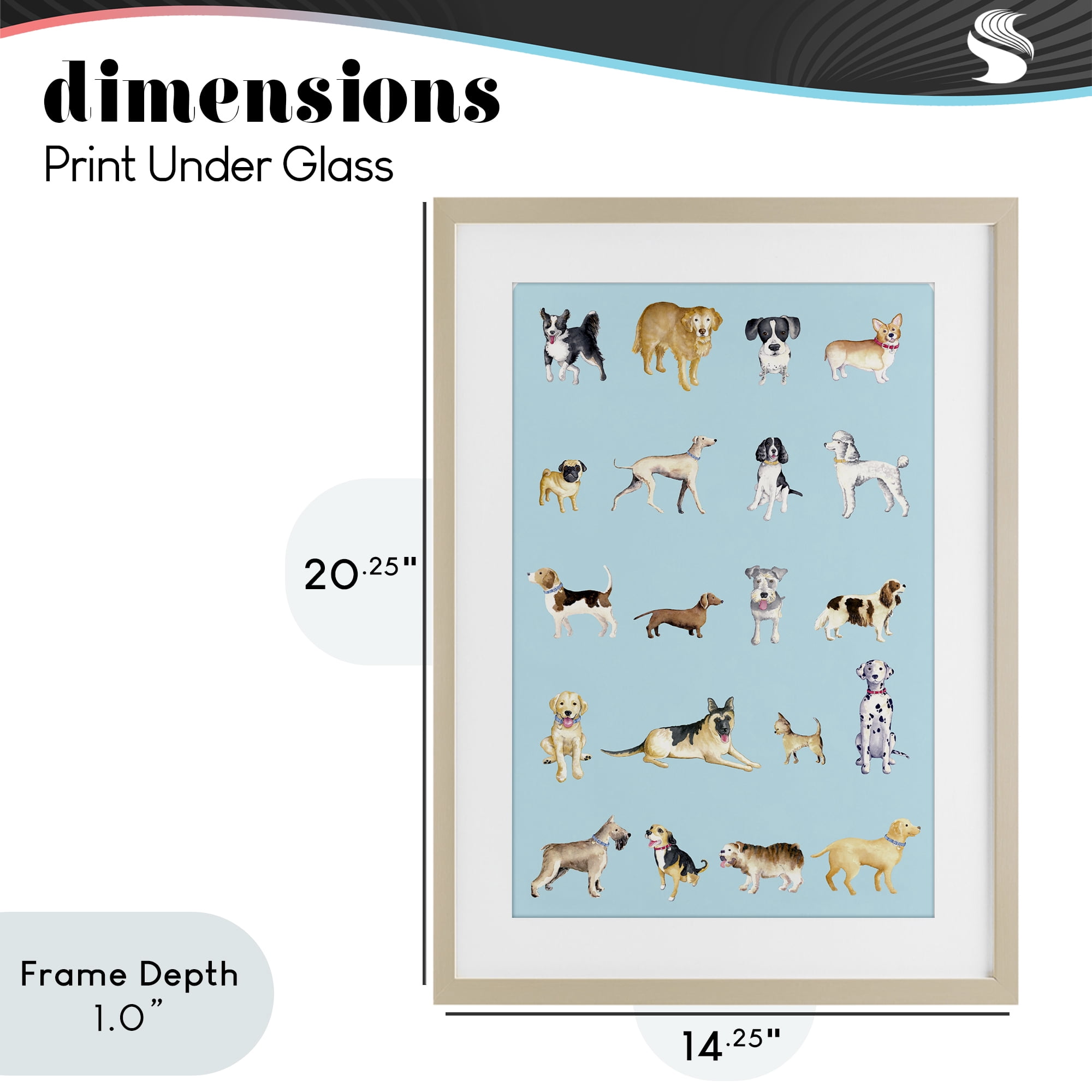 Stupell Industries Dog Breeds on Blue Birch Framed Print Under Glass, design by Andi Metz
