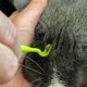 thumbnail image 5 of Herramienta para quitar garrapatas para perros, gatos y humanos: elimine las garrapatas sin dolor en segundos, juego de 3 ganchos para garrapatas, 5 of 5