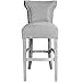 thumbnail image 3 of Sole Designs Bella Wingback Counter Height Bar stool for Kitchen Island or Home Pub, Modern Upholstered Armless Barstool with Back, Footstool and Nailhead Accent, 30" High, Platinum, 3 of 4