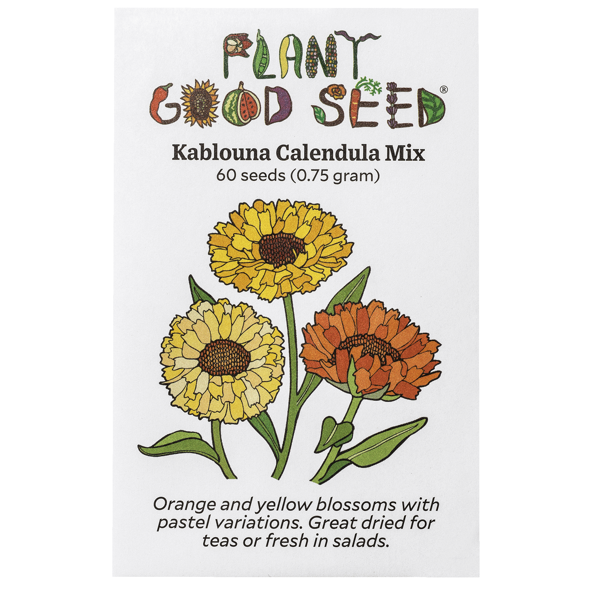 Plant Good Seed Shirazi Tobacco Seed: Fast Growing Green Leaf for Curing  Organic Full Sun Perennial