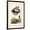Brown Frame, variant on Art.com Great Blue Heron Art Print by John James Audubon, 12" x 18"