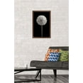 thumbnail image 2 of Tom Quartermaine - Black and White Dandelion Wall Poster, 14.725" x 22.375", Framed, 2 of 3