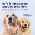 thumbnail image 5 of Petpost | Fresh Breath Foam for Dogs - Mint & Apple Flavored Dental Solution that Kills Bad Breath - Natural Tooth Cleaning Treatment, 5 of 8