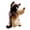 Brown, variant on WEIOUKC Grey Brown Wolf Plush Hand Puppet Toy, Soft Stuffed Animal Doll for Storytelling Role Play & Early Education, Parent-Child Interactive Fun