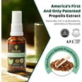 thumbnail image 3 of Bee and You Natural Bee Propolis Throat Spray for Immune Support Sore Throat Relief and Oral Support for Adults and Kids 1 fl oz, 3 of 10
