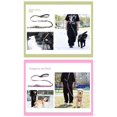 thumbnail image 5 of Pet dog explosion-proof leash Pet leash waist Pink green gradient, 5 of 5