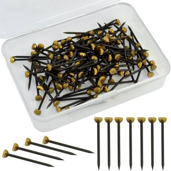 Milue Black Picture Hanging Nails Brass for Head Hanging Pins with Plastic Storage Box