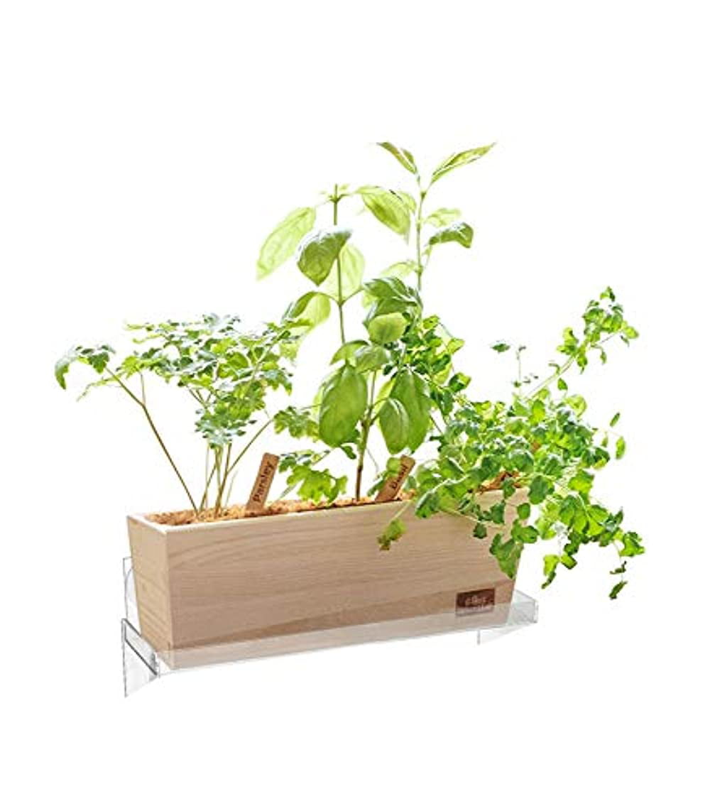 Urban Leaf Suction Cup Window Sill Plant Shelf Large 12x4 Window Sill Shelf 
