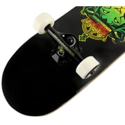 Krown Skateboard Pro Judah Lion Complete