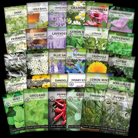 Herb Seeds Medicinal Garden Collection - Non GMO Varieties for Planting - Grow a Blend of Herbal Teas and Home Remedies - 14 Count