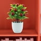 thumbnail image 1 of Pequeña planta falsa plantas artificiales en macetas decoración de flores creativas árboles de frutas artificiales en maceta para la sala de estar de Guindas, 1 of 8