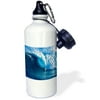 3dRose Monster wave a daring surfing riding on surfboard, Sports Water Bottle, 21oz