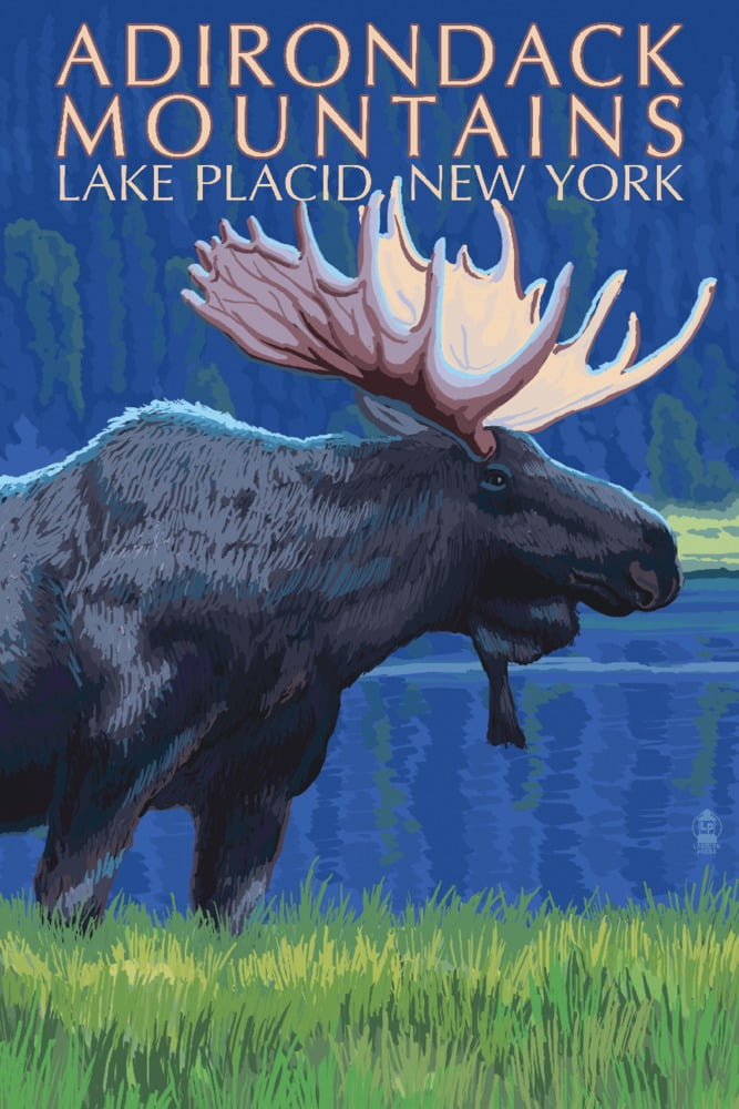 Lake Placid, New York State, The Adirondacks, Moose at Night (16x24