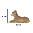 thumbnail image 2 of Realistic Shorthair Deer Head Chihuahua Dog Figurine With Glass Eyes 11"Long, 2 of 9