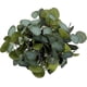 thumbnail image 2 of 20Pieces/lot Artificial Plant Silk Plastic Flowers Eucalyptus Leaves Stems Branches Floral Bouquets Wreath Arrangement Home Table Garden Wedding Green, 2 of 5