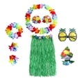 thumbnail image 1 of Falda de hierba hawaiana, sujetador, pulseras, gafas, atuendo para fiesta luau, accesorios de boda Verde 60cm, 1 of 6