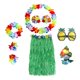 thumbnail image 1 of Falda hawaiana Hula 8 en 1 para hombre y mujer, sujetador, collar, gafas, fiesta luau, Halloween Verde 60cm, 1 of 6