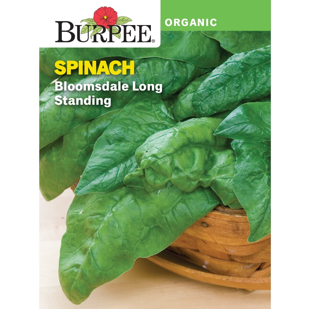 Burpee Organic Bloomsdale Long Standing Spinach Vegetable Seed, 1pack