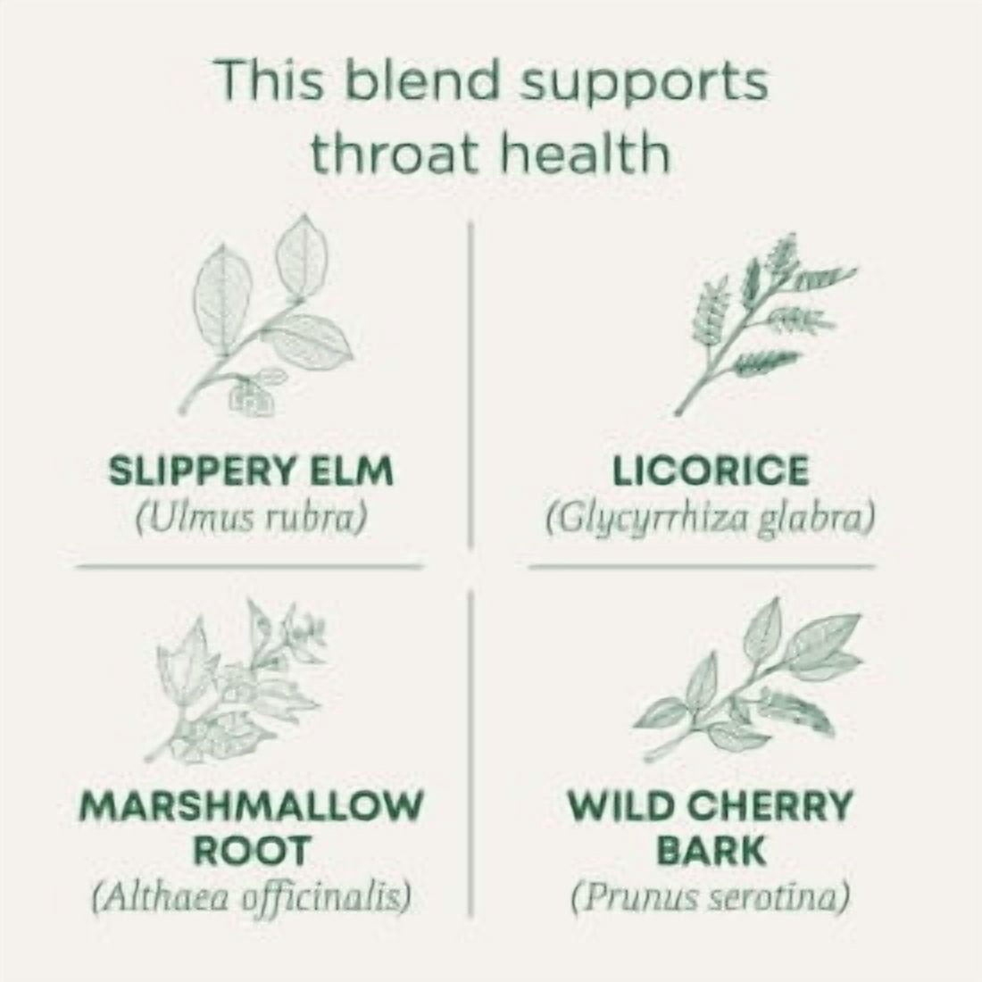 Traditional Medicinals Organic Throat Coat Herbal Tea with Licorice Root and Slippery Elm Bark, 16 Tea Bags
