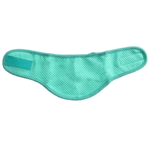 KMWGRE Dog Cat Puppy Bandana Pet Cooler Ice Scarf Collar Breathable For Outdoor And Indoor Use Ideal Med Pet Bandana For Dogs And Cats Green M