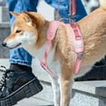 thumbnail image 4 of Rehabilitation Dog Lift Harness Dogs Slings for Dog Front Rear Legs Supporting for Elderly Injured Disabled Dogs, 4 of 8