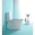 1.1/1.60 GPF DualFlush One Piece Toilet, WaterSaving Elongated