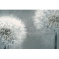 thumbnail image 2 of Prime, Marcus 14x11 Black Ornate Wood Framed with Double Matting Museum Art Print Titled - Moonlit Dandelions 1, 2 of 4