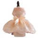thumbnail image 3 of Elegante vestido de novia con lazo para perro, vestido de princesa para cachorro, diseño de lujo bordado con flores, ropa para perros pequeños, fiesta de graduación, 3 of 5