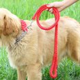 thumbnail image 3 of Dog Leash Reflective Nylon Creative Safety Pet Walking Leash Dog Training Leash, 3 of 6