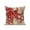 Red, variant on 1 Pack Outdoor Throw Pillow, Ocean Red Octopus Waterproof Pillow with Insert Included, Coastal Anchor Sea Boat Retro World Map Decorative Accent Cushion Sofa Pillows for Patio Porch, 16 x 16 In