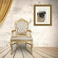thumbnail image 3 of Fab Funky 26x32 Gold Ornate Wood Framed with Double Matting Museum Art Print Titled - Pug, Catch 2, 3 of 4