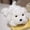 White, variant on Light Up Puppy Stuffed Animal, Bedtime Soft Plush Toy Lying Dog Plushies, Cute Weighted Stuffed Animals, Colorful Glow Plush Puppy Gifts for Children Purple Pink