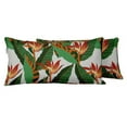 thumbnail image 1 of VargottamIndoor/OutdoorPolyester FabricLumbarPillowCover,All-Weather Waterproof Rectangular Cushion Case for Patio Furniture,12" x 18"Set of 2 -Tropical-72, 1 of 6