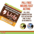 thumbnail image 6 of Licks Pill-Free Dog Digestion - Dog Gut Health and Gas Relief - Bloating Relief and Digestion Supplement for Dogs - Dog Health Supplies - Gel Packets - 30 Use, 6 of 8