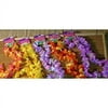 Ruffle Petal Flower Leis - Apparel Accessories - 12 Pieces