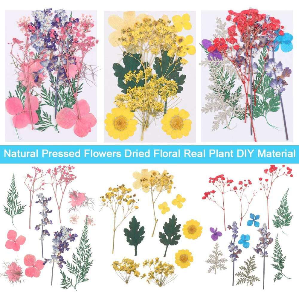 Resin Mold Filling Mixed Leaves Real Plant Natural Dried Floral Pressed Flowers 