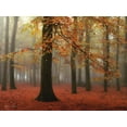 thumbnail image 2 of Podt, Martin 14x12 White Modern Wood Framed Museum Art Print Titled - Miss Misty, 2 of 4