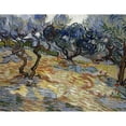 thumbnail image 3 of van Gogh, Vincent 18x15 Black Modern Framed Museum Art Print Titled - Olive Trees, Bright blue sky, 3 of 5
